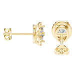 Oval Halo Studs