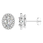 Oval Halo Studs