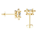 Oval Halo Studs