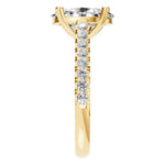 Accented Ring