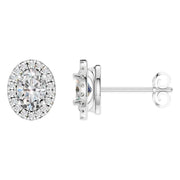 Oval Halo Studs