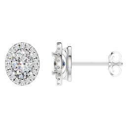 Oval Halo Studs