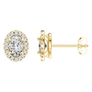 Oval Halo Studs