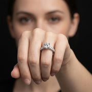 Montpellier Ring