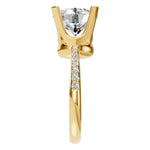 Accented Ring